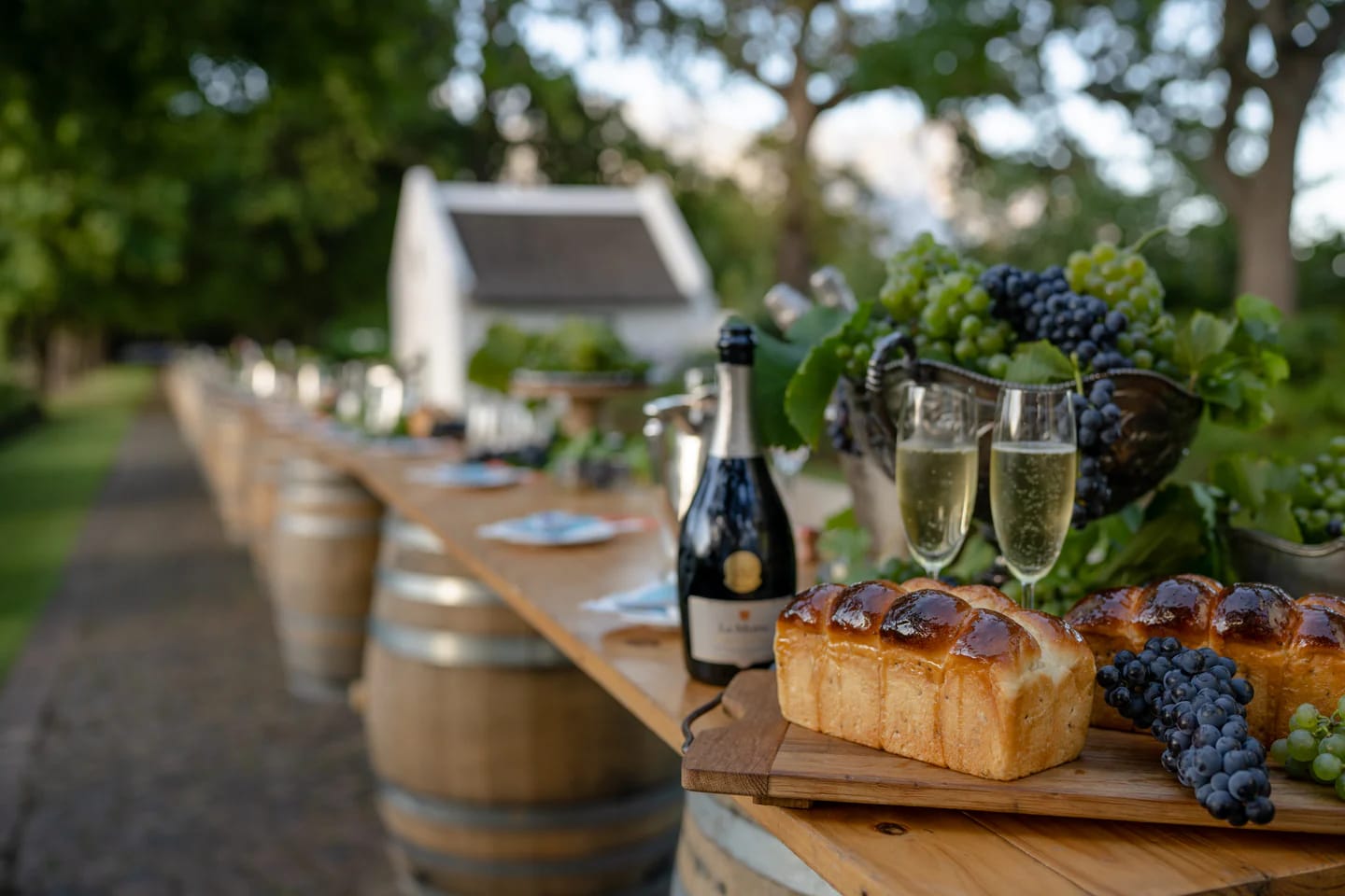 A long Winelands table set with champagne, fresh bread and grapes on wine barrels